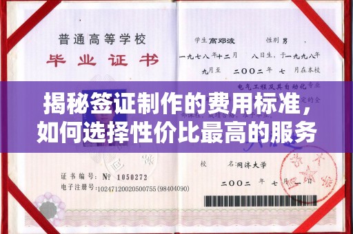 西秀揭秘签证制作的费用标准，如何选择性价比最高的服务？