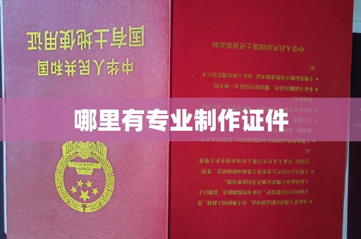 西秀哪里有专业制作证件