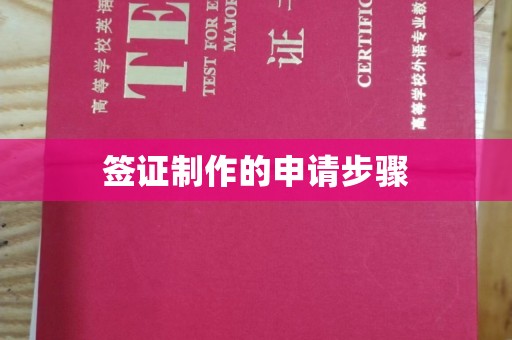 西秀签证制作的申请步骤