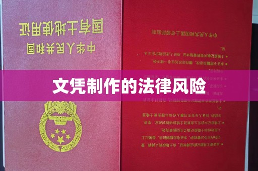 西秀文凭制作的法律风险
