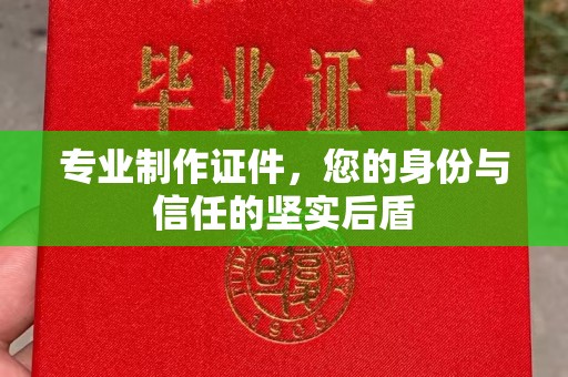 西秀专业制作证件，您的身份与信任的坚实后盾
