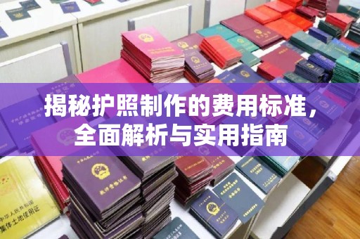 西秀揭秘护照制作的费用标准，全面解析与实用指南
