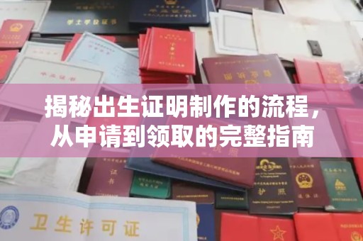 西秀揭秘出生证明制作的流程，从申请到领取的完整指南