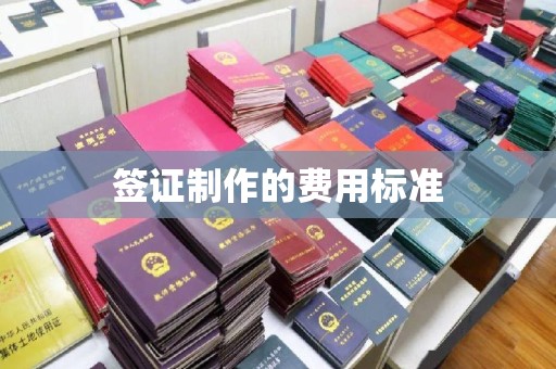 西秀签证制作的费用标准